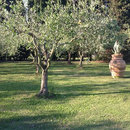 Charming In With Terrace And Shared Pool. Villa Pise