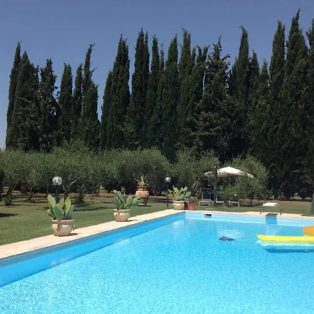 Charming In With Terrace And Shared Pool. Pisa