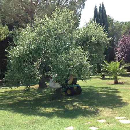 Charming In With Terrace And Shared Pool. Villa Pise